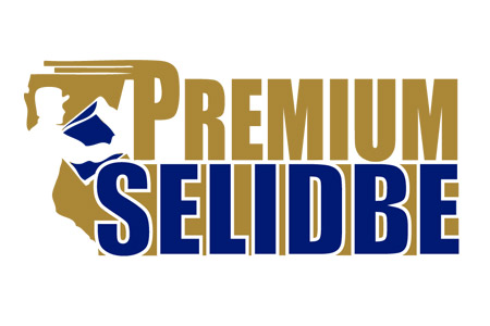 premium-selidbe